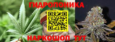 2c-b Гусиноозёрск