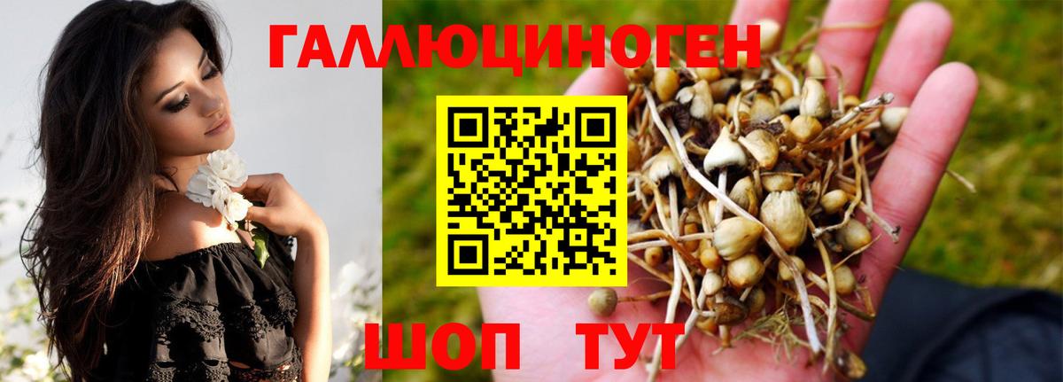 Галлюциногенные грибы Psilocybe  Вход с VPN  Псилоцибиновые грибы ЛСД  Вятские Поляны 